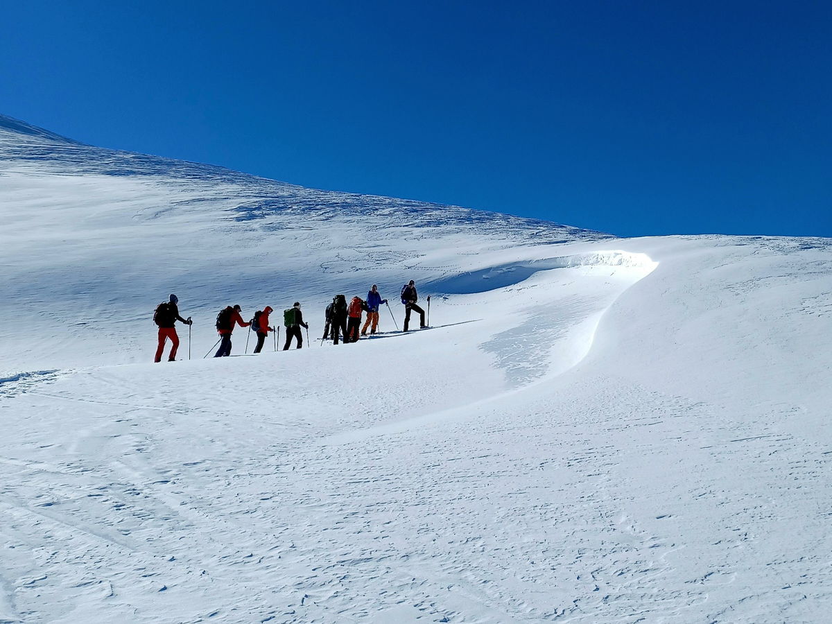 Erlebnisreiches Schneeschuhwandern in den Bergen in geführter Gruppe bei strahlend blauem Himmel.