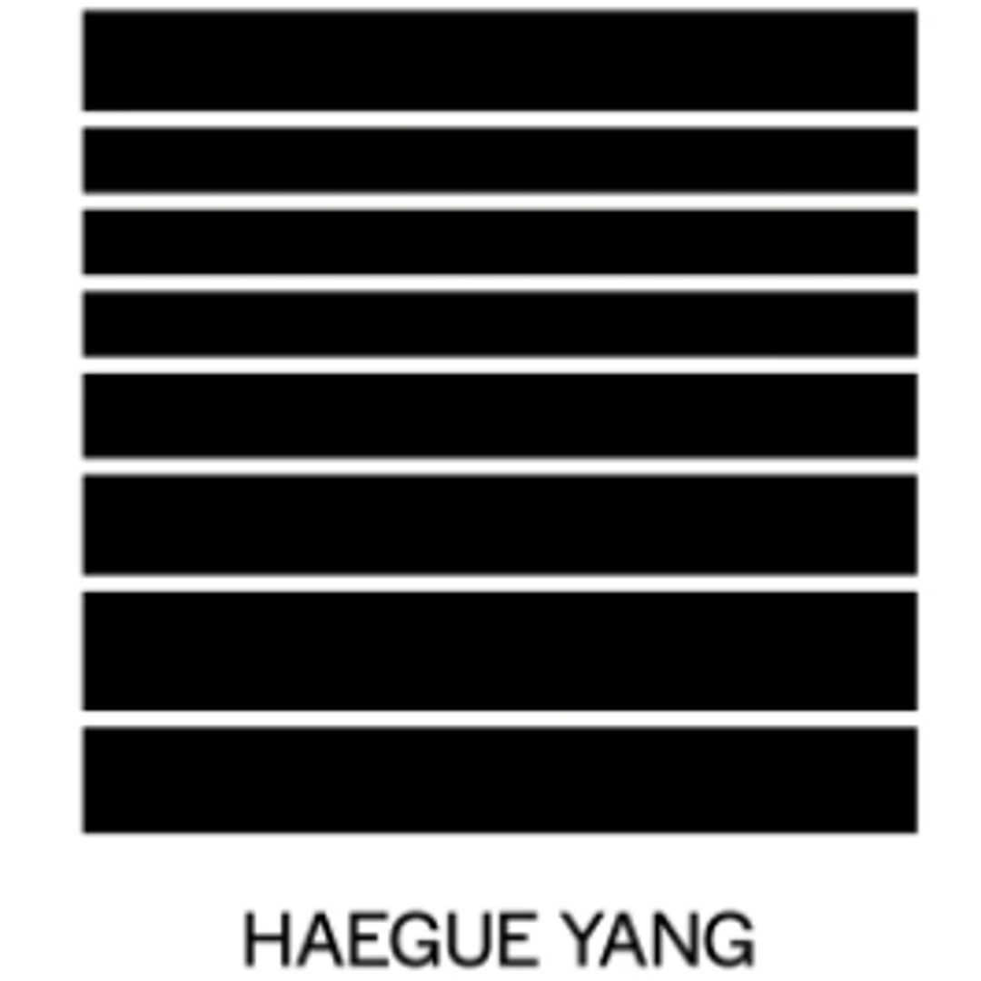 Image of Haegue Yang