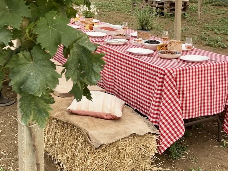 Expériences gastronomiques Marsala: Une expérience inoubliable au milieu des vignes