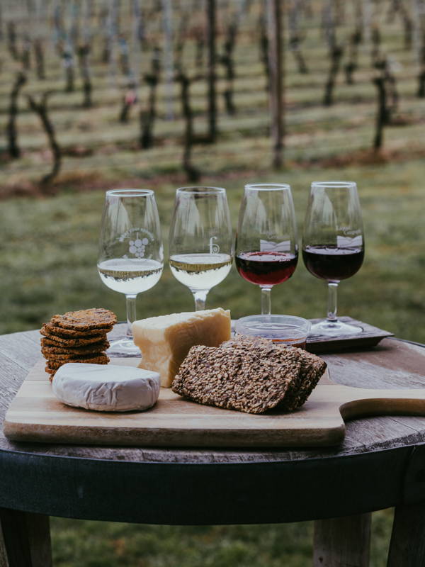Fromage et vin accord mets-vins