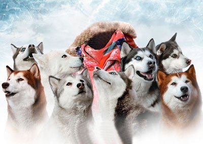 PSD исходник скачать для монтажа в Фотошоп - почетный удмурт