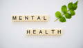 How does digestive health impact mental health?