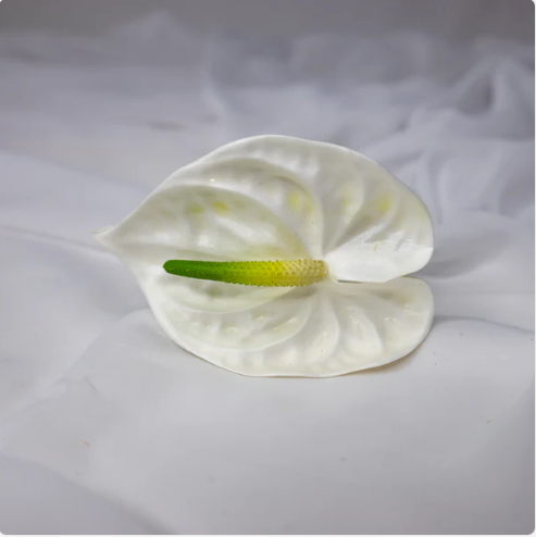 Anthurium Small White - Realistic Artificial Flowers - Image 3