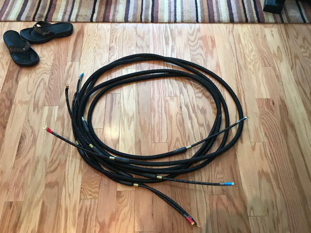 Cerious Technologies Graphene Extreme 10 Ft Cables Spad...