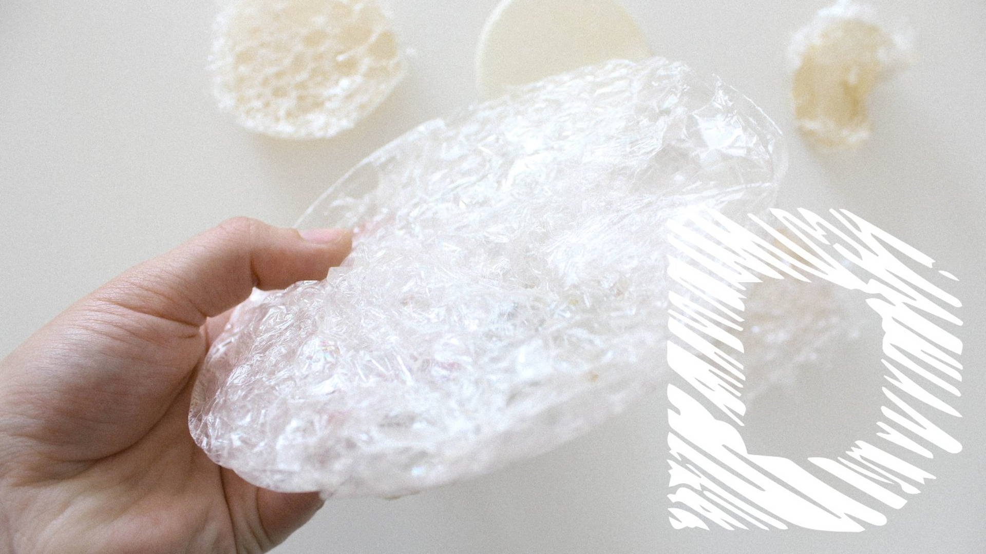Featured image for Chile-based Designer Margarita Talep Creates Single-Use Plastic Alternative With Algae