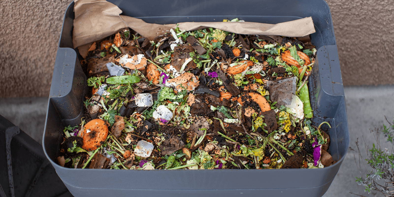 Outdoor compost bin.