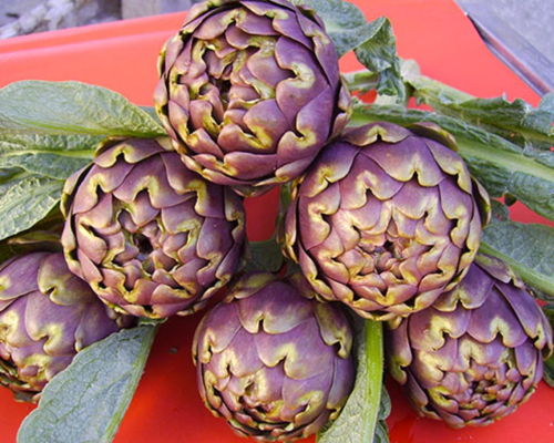 Corsi di cucina Roma: Il carciofo: il re della cucina tradizionale romana