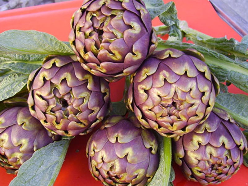 Corsi di cucina Roma: Il carciofo: il re della cucina tradizionale romana