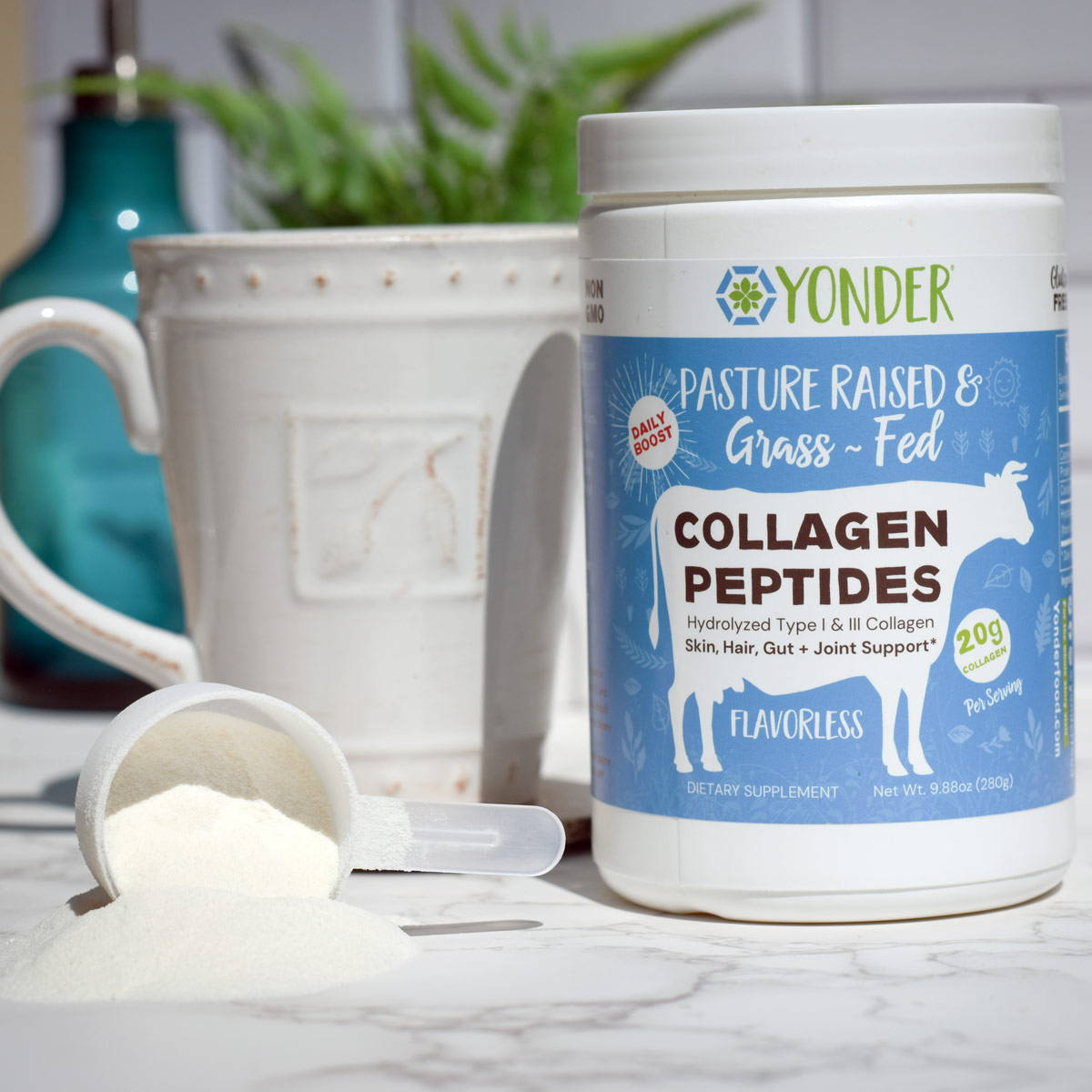 Make chocolate milk with chocolate grass-fed collagen