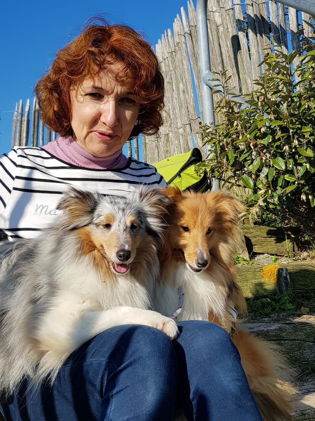 MaDiva bleue et Ollie Blonde du cèdre enchanté