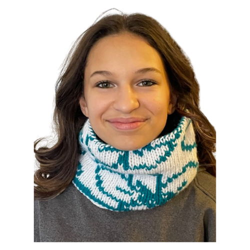Flower Headband and Cowl