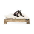 Dog sitting on Keetsa Pet Bed