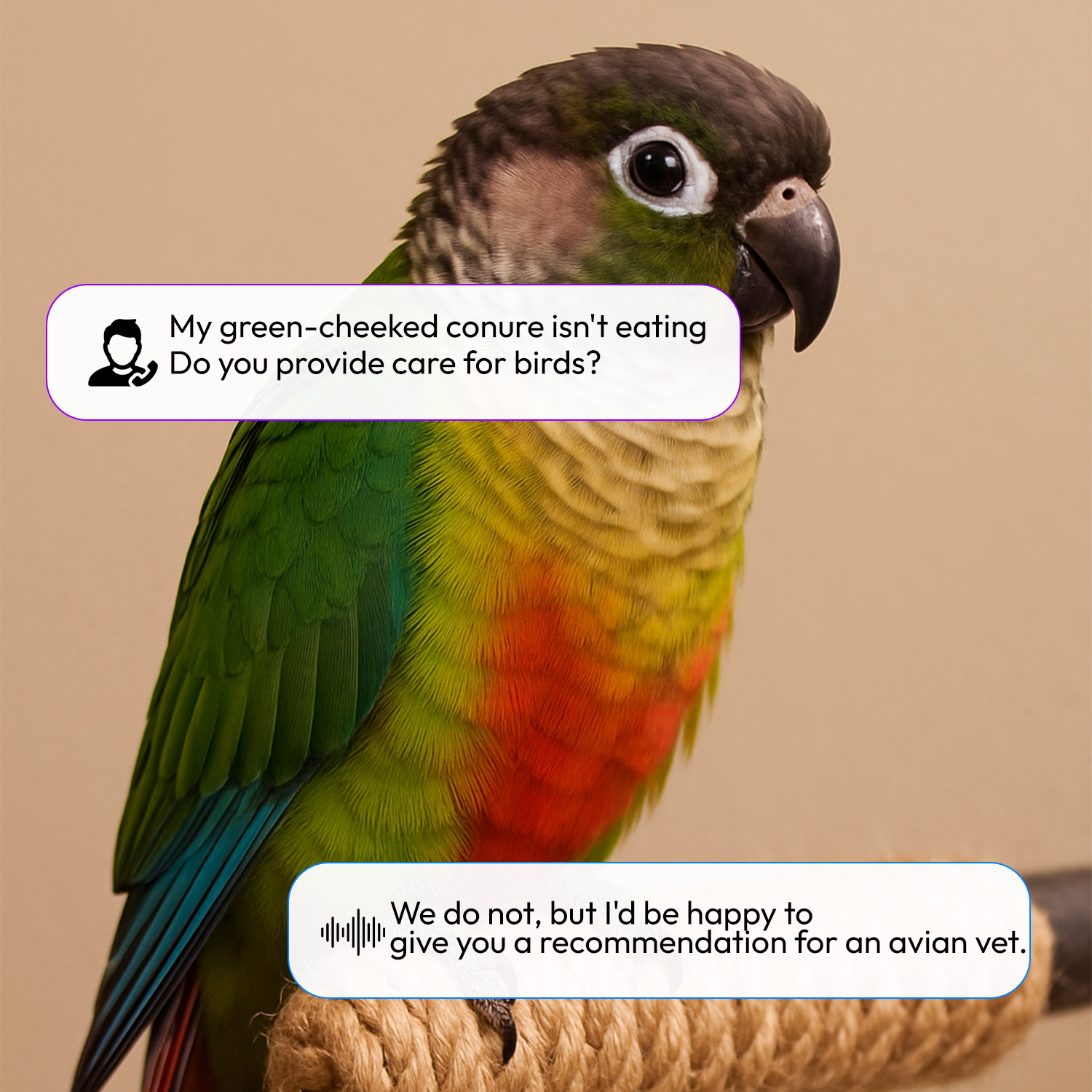 AI Answering Service for Veterinary Clinics Support