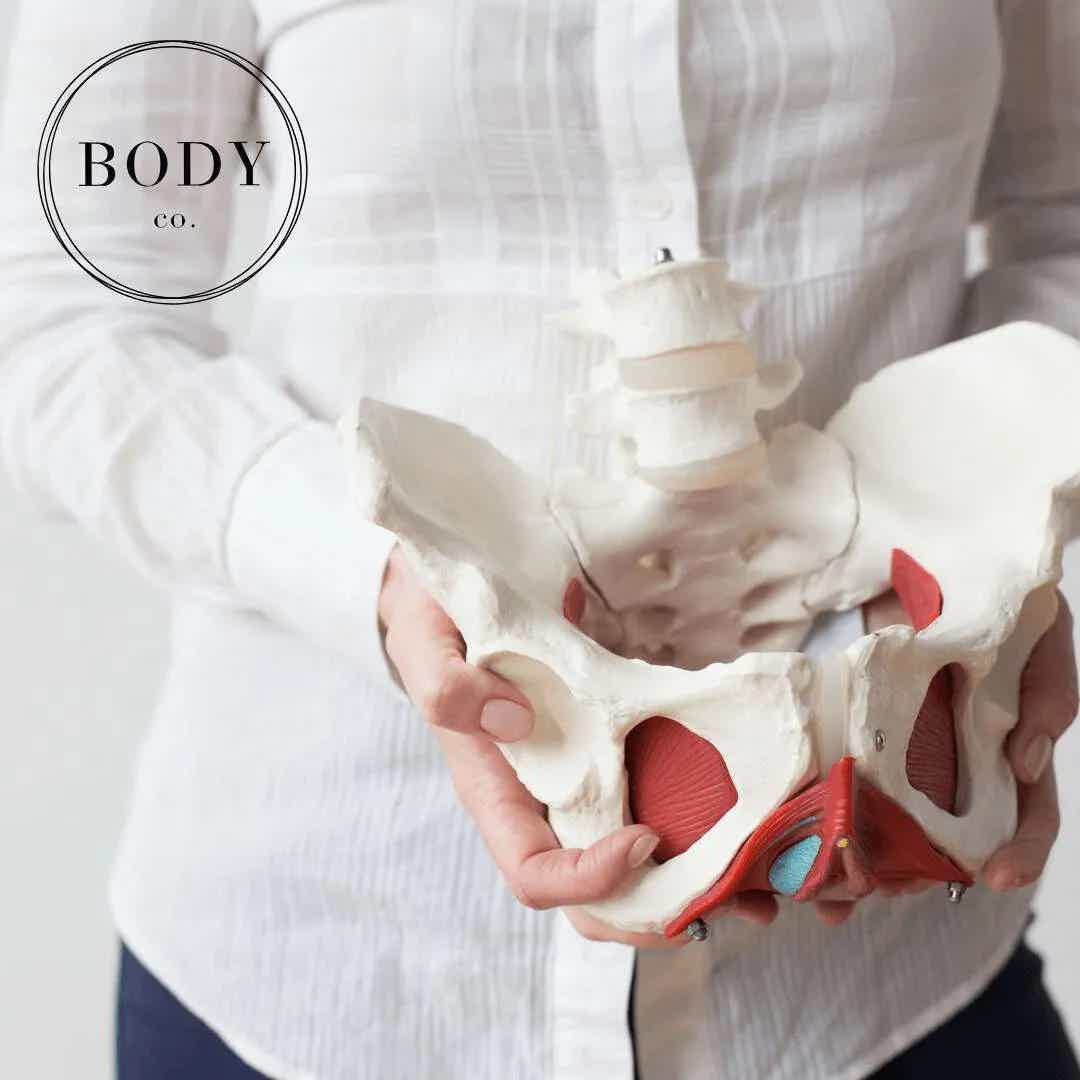 Everything You Need to Consider About Pelvic Floor – A Poem
