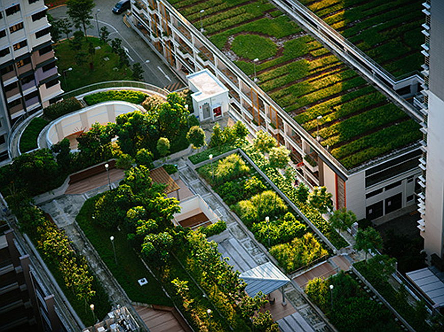  Gelsenkirchen
- Finden Sie heraus, wie das Umweltprogramm der Vereinten Nationen nachhaltige Stadtplanung betreibt.