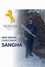 Holmesdale Cricket Club Logo