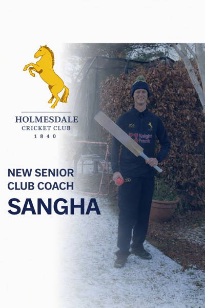 Holmesdale Cricket Club Cricket Club Logo