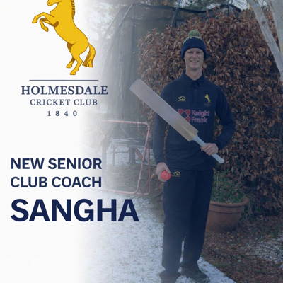 Holmesdale Cricket Club Logo
