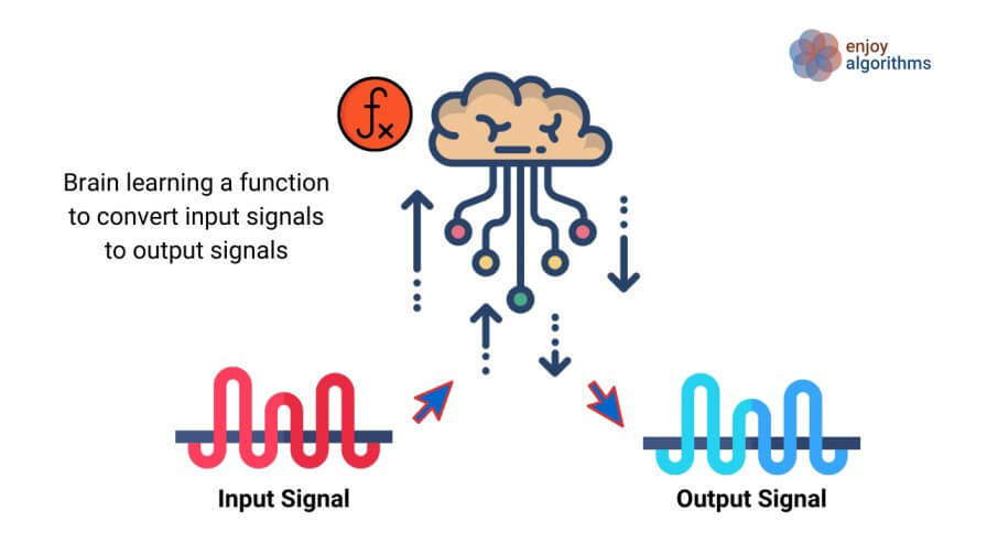 How brain works?