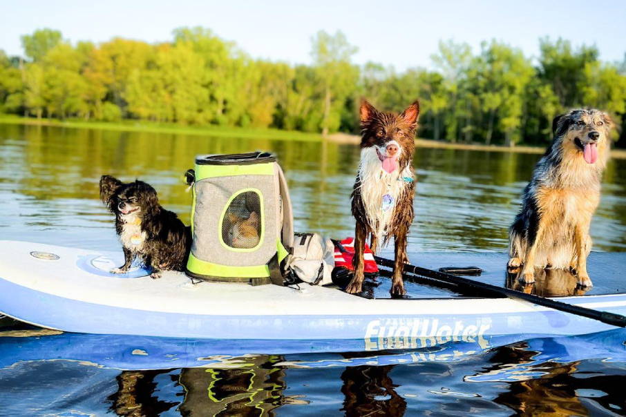 Funwater all around paddle board paddle for beginners in summer clearance deals