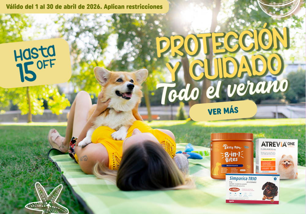 zignature - energía real para su día a día