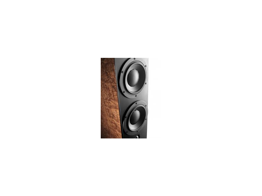 Dynaudio Contour 3.4 LE  - Mocca Finish - Brand New In Box - Trade-In Opportunity
