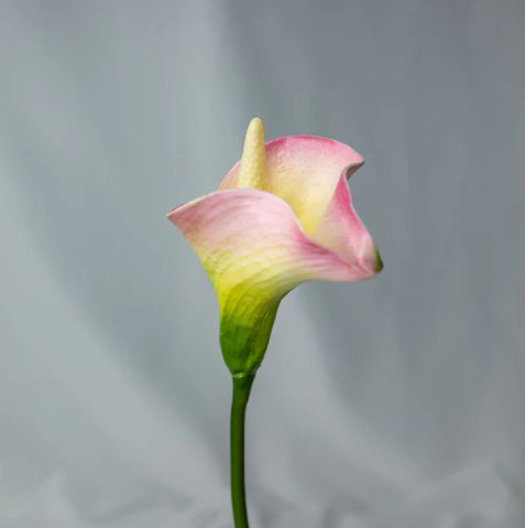 Yellow Pink Mini Calla Lily - Realistic Artificial Flowers - Image 3