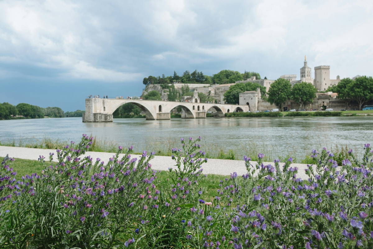 Pont d'Avignon et vignobles de la Vallée du Rhône