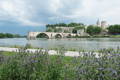 Pont d'Avignon
