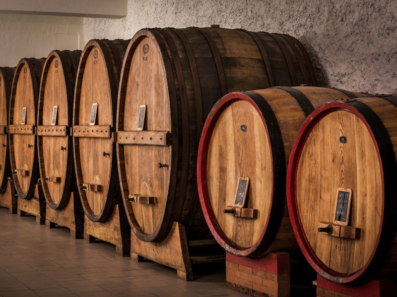 Food & Wine Tours Assisi: Food & wine tour through vineyards, olive groves & tastings