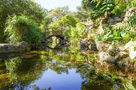 Austin Like a Local - Explore the City