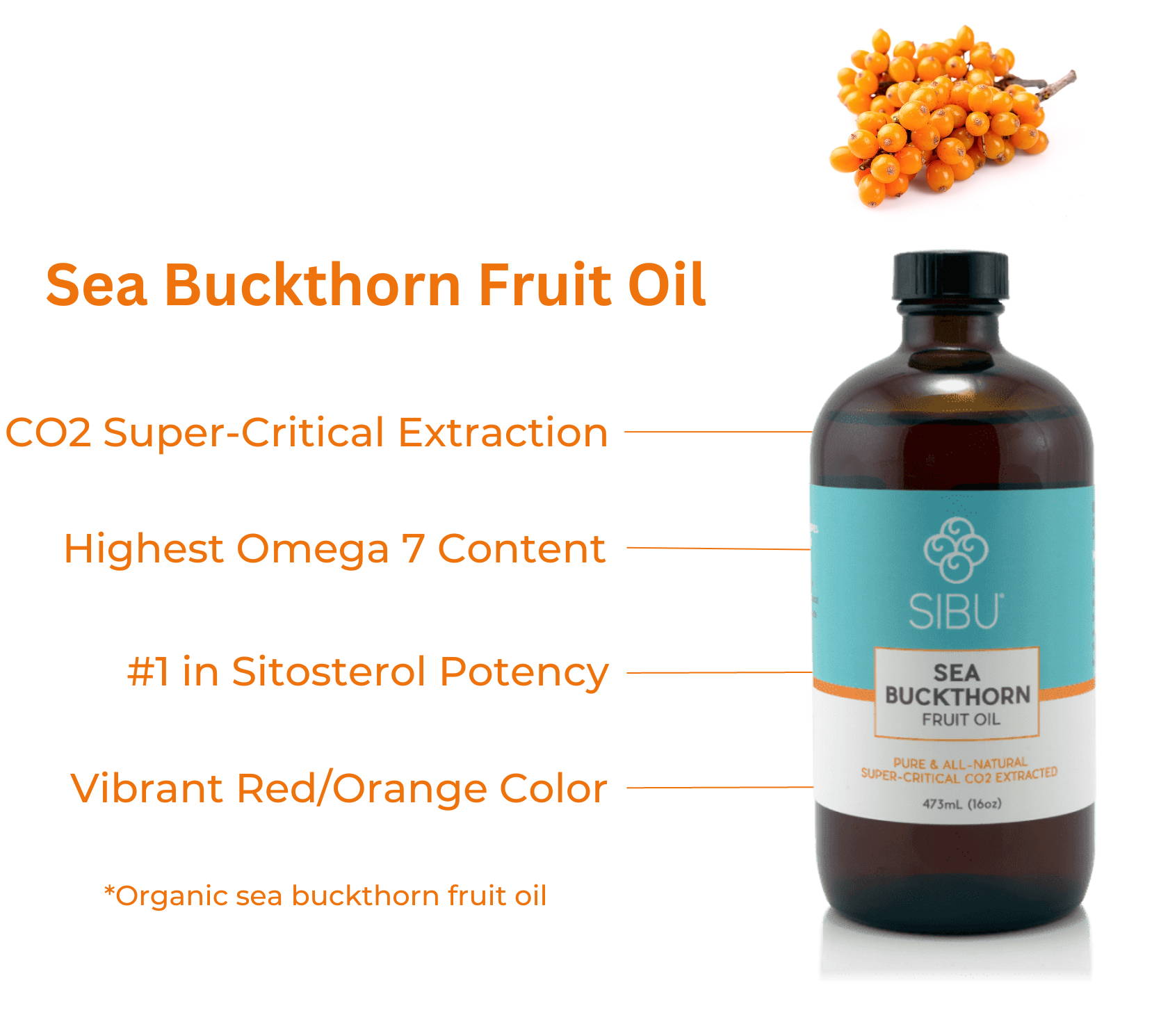 Sea Buckthorn Fruit Oil - Pure & All-Natural, Super-Critical CO2 Extracted