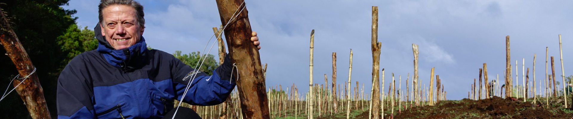 VIÑA MONTES ATERRIZA EN CHILOÉ