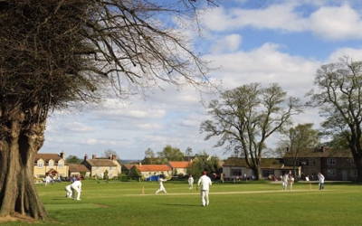 Thornton Watlass Cricket Club Cricket Club Logo