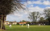 Thornton Watlass Cricket Club Logo