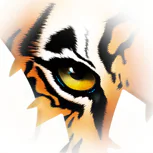 TigerTMS