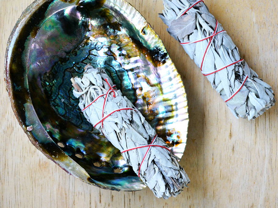 Abalone Shell for burning sage