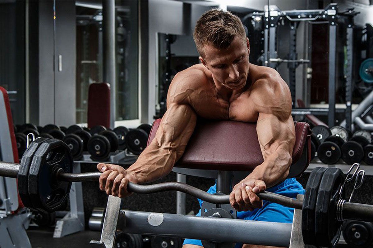 athlete lifting a barbell using the preacher curl bench athlete lifting a barbell using the preacher curl bench