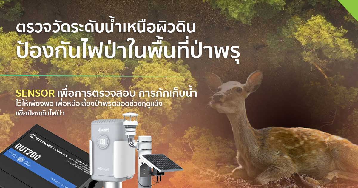 ตรวจวัดระดับน้ำเหนือผิวดิน ป้องกันไฟป่าในพื้นที่ป่าพรุ