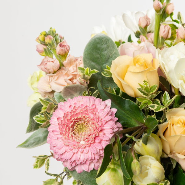 Pastel Posy_flowers_delivery_interflora_nz