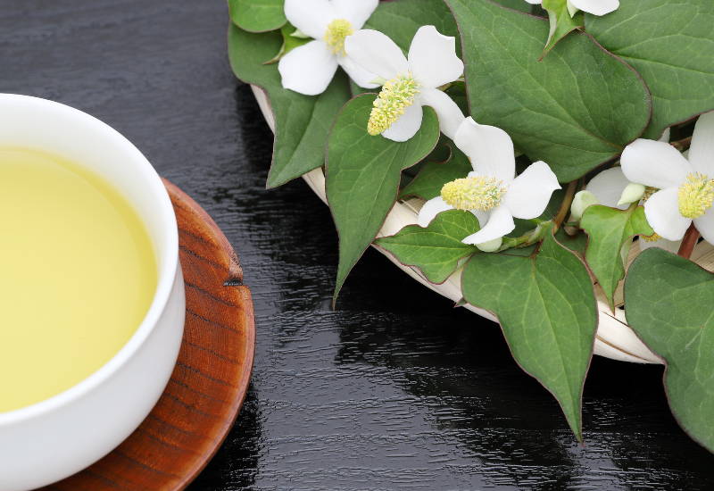 どくだみ茶効能