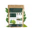 Poudre de moringa bio