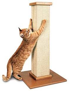 A good cat scratching post 