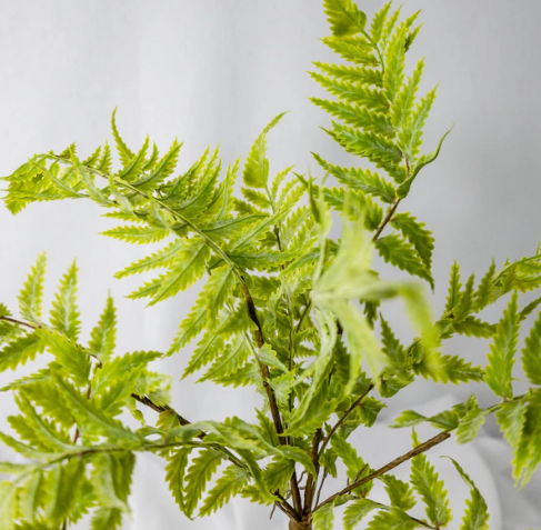Tuber Fern - Realistic Artificial Flowers and Greenery - Image 4