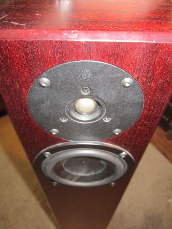 Totem Acoustics Arro Floorstanding loudspeakers with pl...