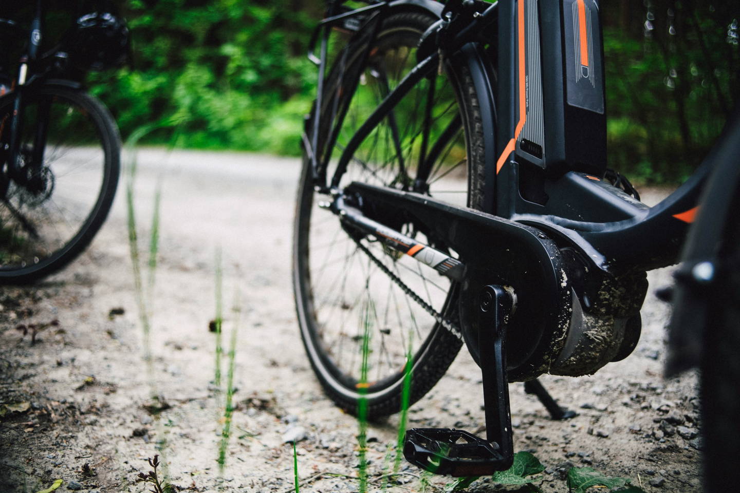 mountain bike elettrica