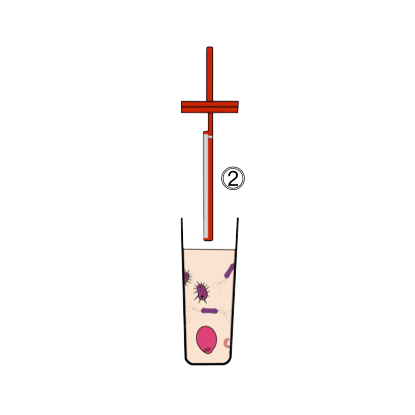 Schema of the red tester sampler and a container with bacteria in its liquid