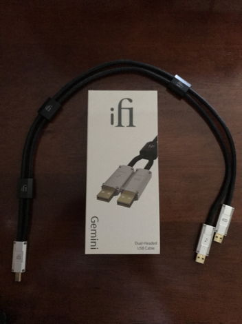 iFi Gemini USB Cable