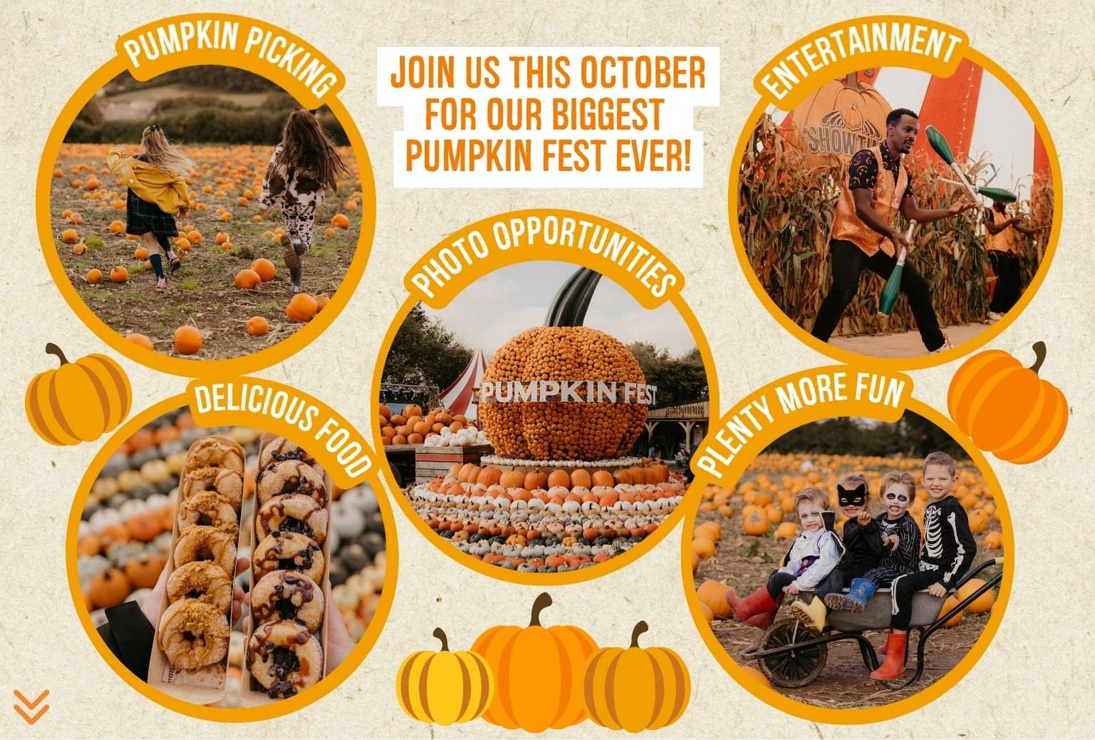 Discover the biggest and best pumpkin festival in Devon & Cornwall, and South West! Pumpkin Fest at Strawberry Fields is the ultimate family day out with a huge pumpkin patch, pumpkin picking, maize maze, barrel train rides, photo spots, tasty autumn treats & fun for all ages. Book now!