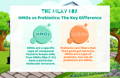 HMOs vs Prebiotics: The Key Difference | The Milky Box 